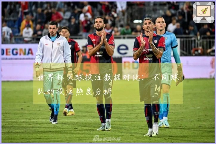 世界杯买球投注数据对比：不同球队的投注热度分析