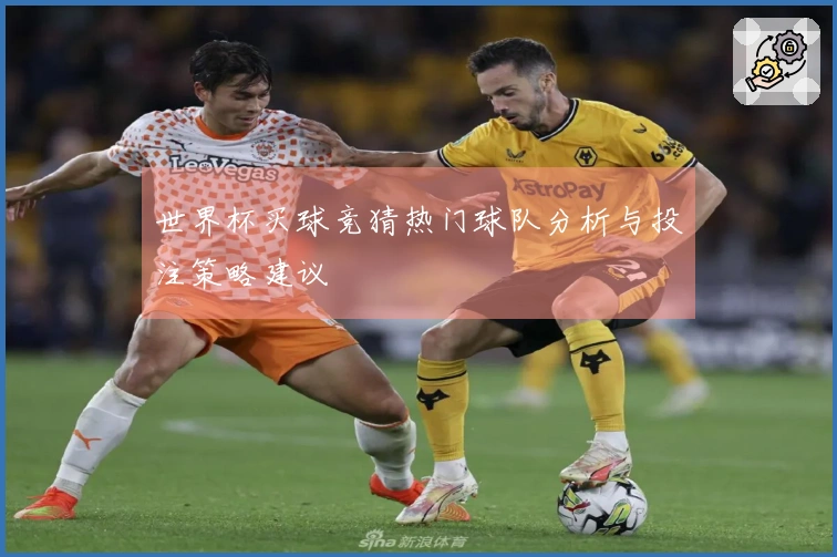 世界杯买球竞猜热门球队分析与投注策略建议