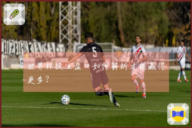 世界杯投注盘口如何解析才能赢得更多？