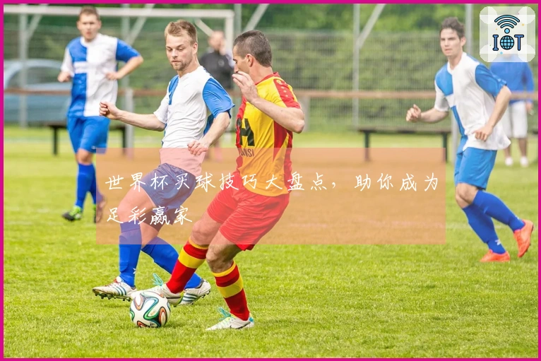 世界杯买球技巧大盘点，助你成为足彩赢家