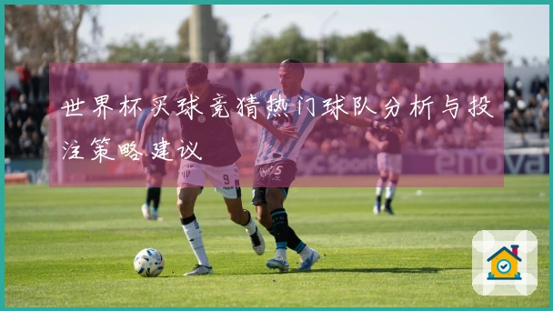 世界杯买球竞猜热门球队分析与投注策略建议