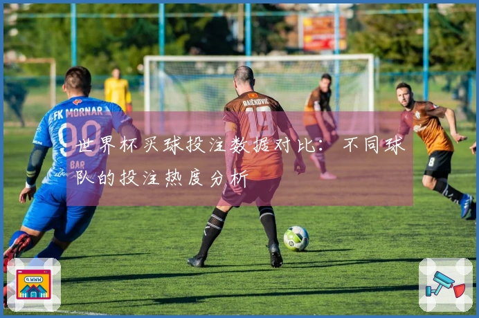 世界杯买球投注数据对比：不同球队的投注热度分析
