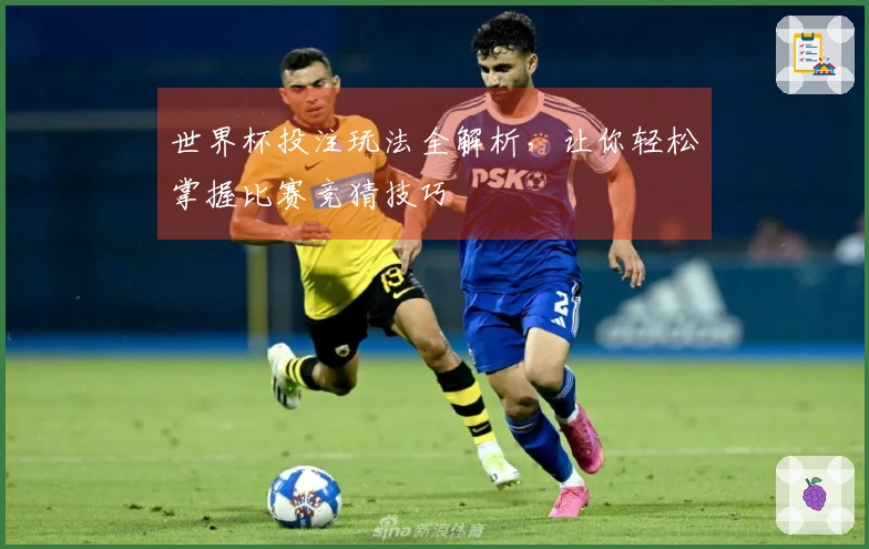 世界杯投注玩法全解析，让你轻松掌握比赛竞猜技巧