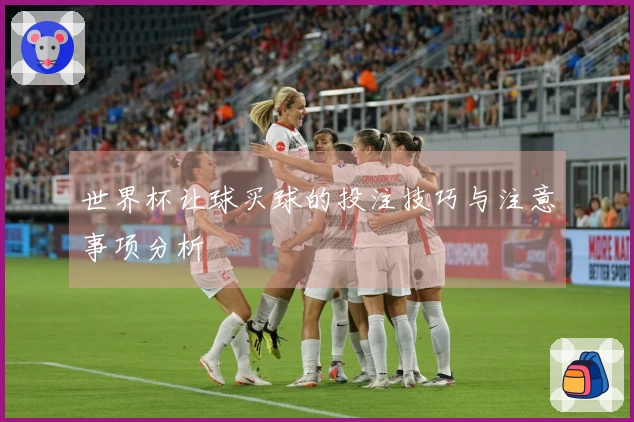 世界杯让球买球的投注技巧与注意事项分析