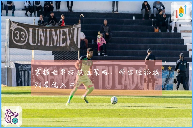 掌握世界杯投注策略，带你轻松找到最优入口