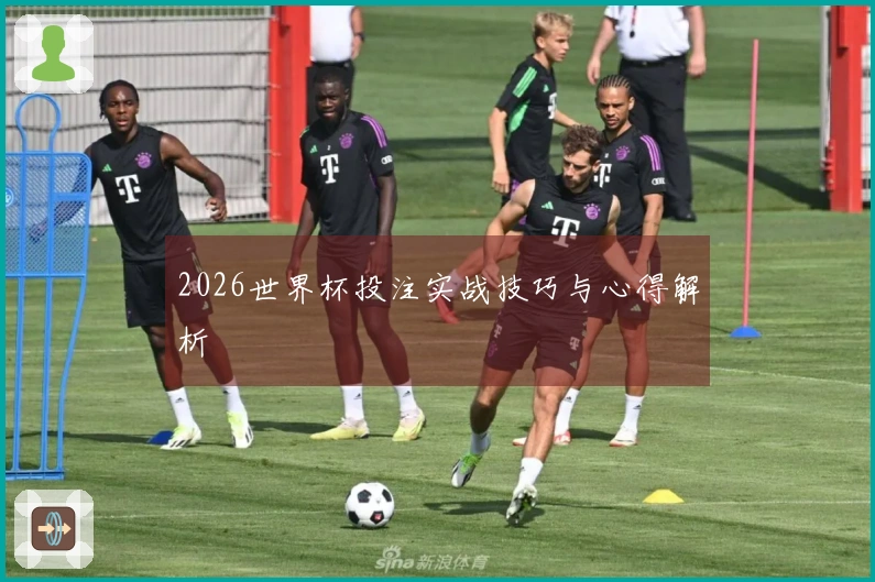2026世界杯投注实战技巧与心得解析