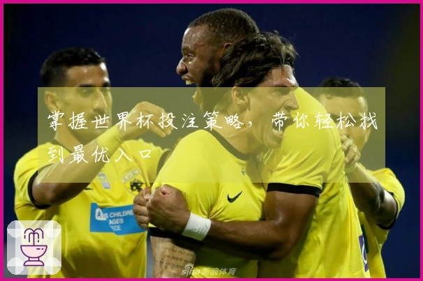 掌握世界杯投注策略，带你轻松找到最优入口