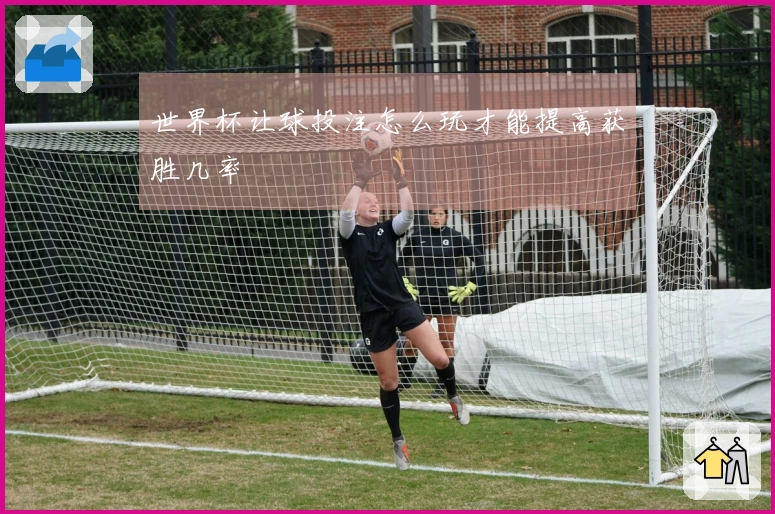 世界杯让球投注怎么玩才能提高获胜几率